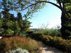 183 HYERES ET SES PALMIERS D01_000042